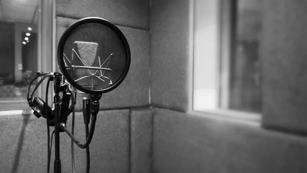 Stúdió Mikrofon Lengéscsillapítóval Pop Szűrő Állvány Hangmérnök Énekes Vagy Bejelentés — Stock Fotó