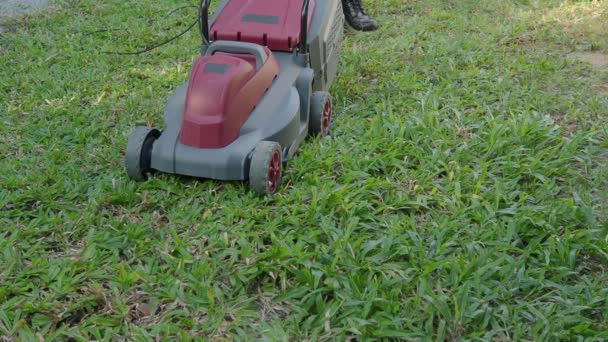 园丁在私家院子里用割草机割草 静态射击 园艺活动 在花园里用电动割草机割草 割草机用割草机割草 — 图库视频影像