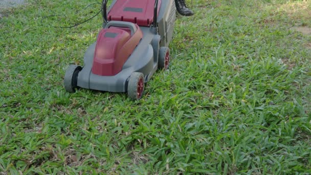 Gärtner Mäht Rasen Privaten Hof Mit Rasenmähern Statischer Schuss Gartenarbeit — Stockvideo