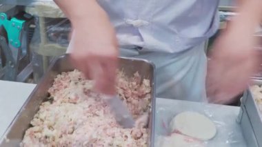 Dim Sum yapıyorum. Şef Dim sum köftesi hazırlıyor. Hamur yoğurmak ve Çin Dim Sum domuz köftesi yapmak. Dim sum böreği Çin 'in en popüler ve ünlü yiyeceğidir. Xiao long bao!.