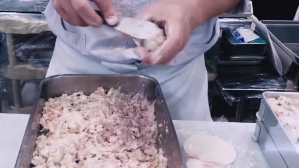 ディム サムを作る ディム 餃子を作るシェフ 生地を混練し 中国の薄暗い合計豚肉餃子を作る 中国で最も人気があり 有名な食べ物です 小龍宝も — ストック動画