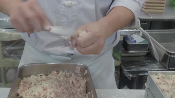 ディム サムを作る ディム 餃子を作るシェフ 生地を混練し 中国の薄暗い合計豚肉餃子を作る 中国で最も人気があり 有名な食べ物です 小龍宝も — ストック動画