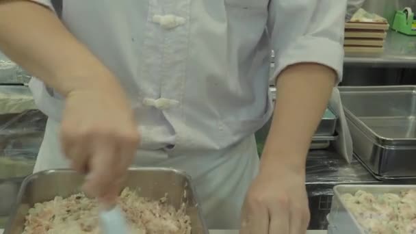 Haciendo Dim Sum Chef Preparando Albóndigas Dim Sum Amasar Masa — Vídeos de Stock