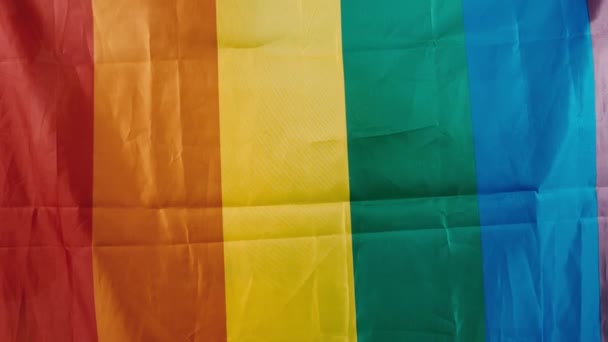 Lgbtq Прапор Гордості Gay Sexsual Transgender Queer Гомосексуальна Гордість Прапор — стокове відео