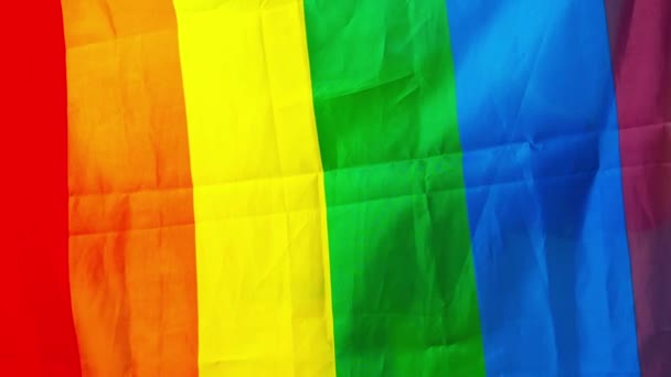 Bandiera Dell Orgoglio Lgbtq Lesbica Gay Sessuale Transgender Queer Orgoglio — Video Stock
