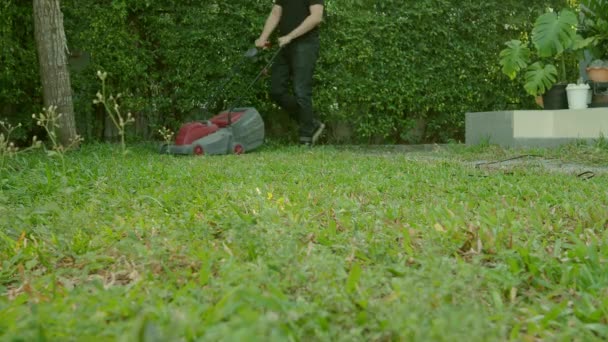 电动割草机私人院子里的人 有割草机 静态射击 园艺活动 在花园里用电动割草机割草 割草机修剪草坪 — 图库视频影像