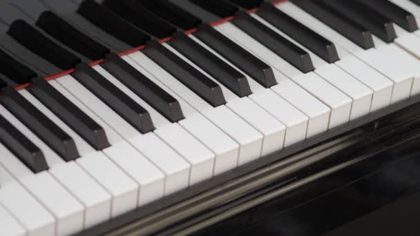 Гранд Фортепіано Професійні Клавіші Піаніно Самостійно Грають Крупним Планом Безшовна — стокове відео