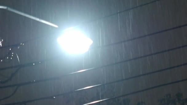 Noche Lluvia Luz Metraje Gotas Lluvia Caída Noche Bangkok Tailandia — Vídeos de Stock