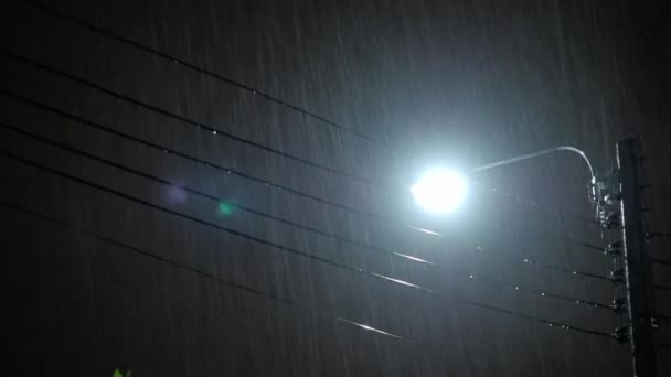 雨の夜と光 4K映像7月の雨期にバンコクタイで夜に降る雨量 夜になると雨が速くなる シャワー降雨量 4K雨が降る映像 雨のドロップストリートライト — ストック動画
