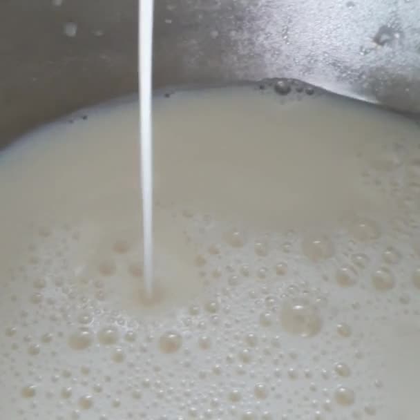 Preparare Latte Soia Fresco Preparazione Fare Bere Tofu 100 Spremere — Video Stock