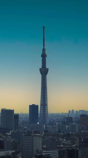 东京市和东京天空树塔 东京的空中景观 以著名的旅游目的地地标著称 世界上最高的建筑 日本东京Asakusa区 — 图库照片