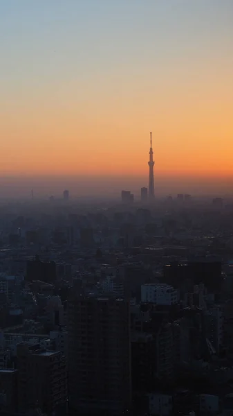 Tokyo City Tokyo Sky Tree Tower Vista Aérea Ciudad Tokyo —  Fotos de Stock