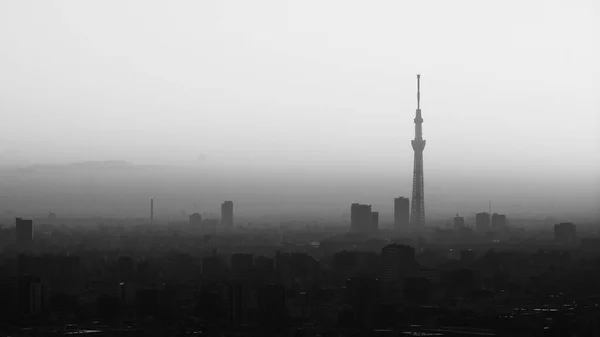 Tóquio Cidade Tóquio Sky Torre Árvore Vista Aérea Cidade Tokyo — Fotografia de Stock