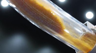 Plastik topaklar hava tüpleri. Otomatik makinede sarı plastik topaklar taşıyan saydam endüstriyel tüpü kapatın. Yüksek hızda hareket eden mühendislik materyali. Plastik üretim teknolojisi