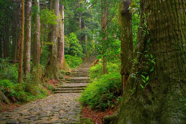 Kumano Kodo Pilgrimage — Stock Photo, Image