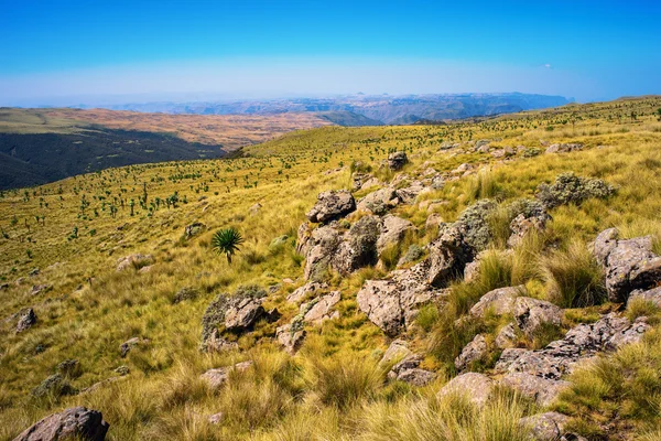 Nationaal park Simien Mountains — Stockfoto