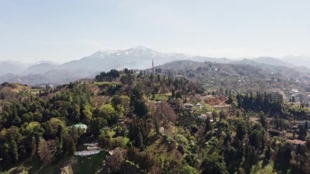 Πτήση Πάνω Από Ecopark Στο Batumi Θέα Βουνά — Αρχείο Βίντεο