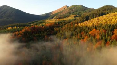Renkli sonbahar Karpatya dağlarının insansız hava aracı görüntüsü. Dağ sıraları parlak sonbahar renkleriyle kozalaklı ve karışık ormanlarla kaplıdır. Aşağıda köy evlerini görebilirsin..
