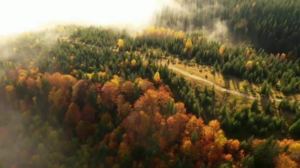 Légi drón kilátás a színes őszi Kárpátok hegyek. A hegyvonulatokat tűlevelű és vegyes erdők borítják élénk őszi színekben. Lent láthatod a falusi házakat.. — Stock videók