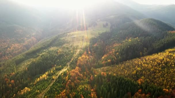 Luchtfoto drone uitzicht op de kleurrijke herfst Karpaten bergen. De bergketens zijn bedekt met naaldbomen en gemengde bossen in heldere herfstkleuren. Hieronder ziet u de dorpshuizen. — Stockvideo