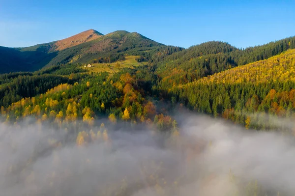 Manhã de outono colorido nas montanhas dos Cárpatos. Sokilsky cume, Ucrânia, Europa.. — Fotografia de Stock