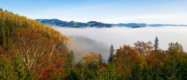 Барвистий осінній ранок у Карпатських горах. Хребет Сокільський, Україна, Європа.. — стокове фото