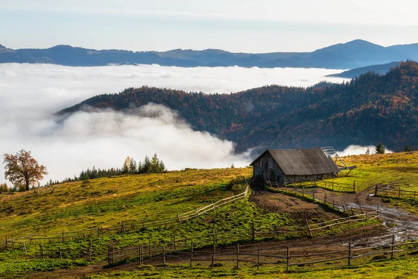 Manhã de outono colorido nas montanhas dos Cárpatos. Cordilheira de Sokilsky — Fotografia de Stock