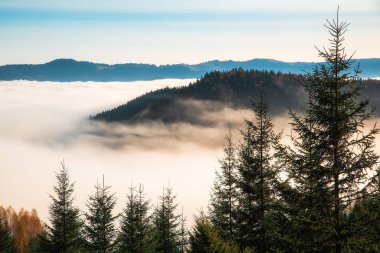 Karpat dağlarında renkli bir sonbahar sabahı. Sokilsky tepesi