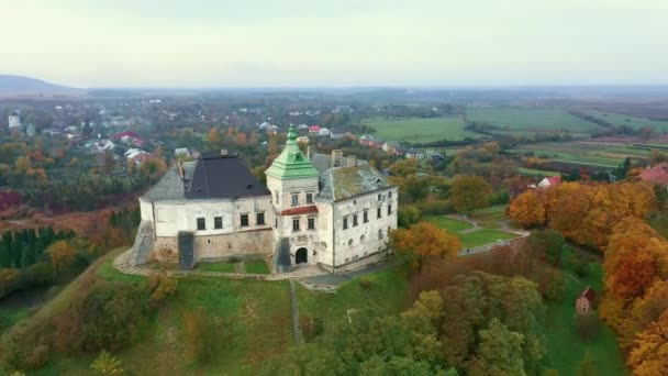 Pałac Olesko z powietrza. Rezerwa. Letni park na wzgórzach. Widok z lotu ptaka na Zamek Oleski, Ukraina. — Wideo stockowe