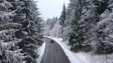 Kozalaklı ormandaki yol karlı karlı kar fırtınalı hava görüntülerini süpürdü Karpatlar 4k