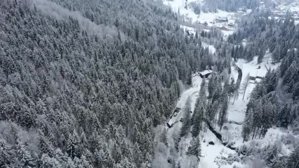Воздушный беспилотник с видом на снежные зимние Карпаты, покрытые смешанными лесами и горными долинами. — стоковое видео
