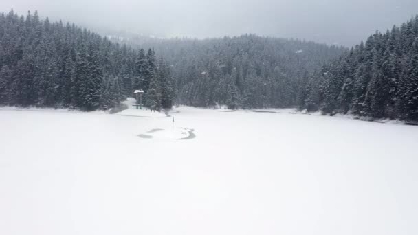 喀尔巴阡山脉冬季白雪覆盖湖结冰森林的空中景观 — 图库视频影像