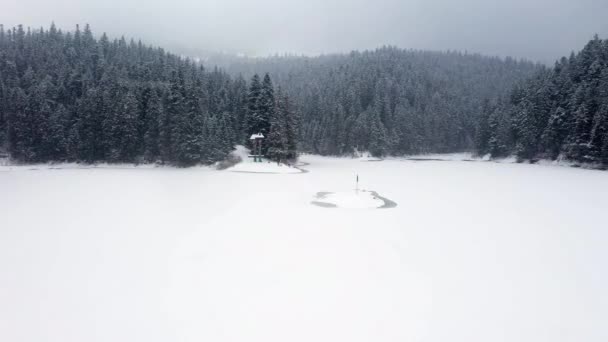 Vista aérea del bosque congelado con el lago cubierto de nieve en invierno en las montañas de los Cárpatos — Vídeos de Stock