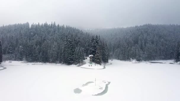 Vista aérea del bosque congelado con el lago cubierto de nieve en invierno en las montañas de los Cárpatos — Vídeos de Stock