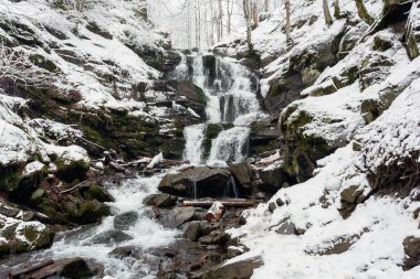 Karpat dağlarındaki güzel Shypit şelalesinin manzarası, kış manzarası. Popüler turistik etkinlik, duvar kağıdı veya kapak için uygun doğa seyahati arka planı
