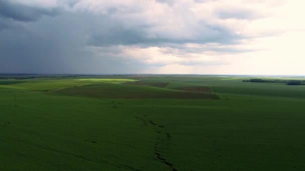 Dramatisk himmel innan regn med regn moln på horisonten ovanför landsbygden Landskap fält äng. — Stockvideo