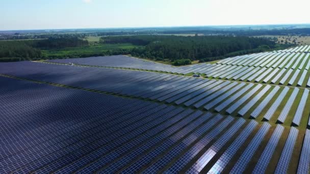 Närbild solkraftverk paneler i rad i fälten grön energi vid solnedgången landskap elektrisk ekologi innovation natur miljö slow motion — Stockvideo