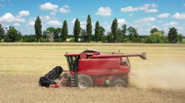 Hava görüntüleme birliği sahada çalışıyor. Hasat makinesi olgun, kuru ayçiçeklerini kesiyor. Mavi gökyüzü ile güzel bir manzara. Tarım sonbahar konsepti.