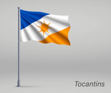 Tocantins bayrağı sallıyor. Bayrak direğinde Brezilya eyaleti. Bağımsızlık Günü afişi 