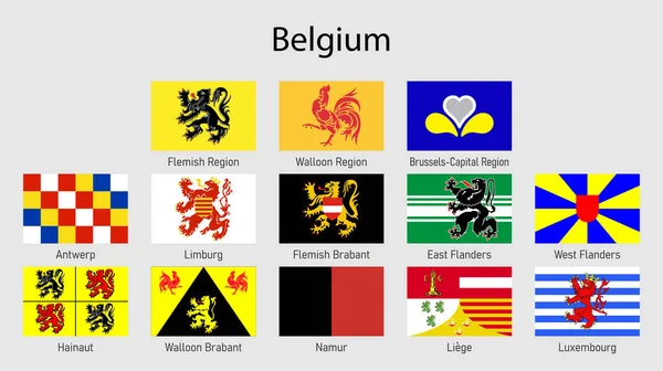 Set Banderas Las Regiones Bélgica Colección Banderas Todas Las Provincias — Vector de stock