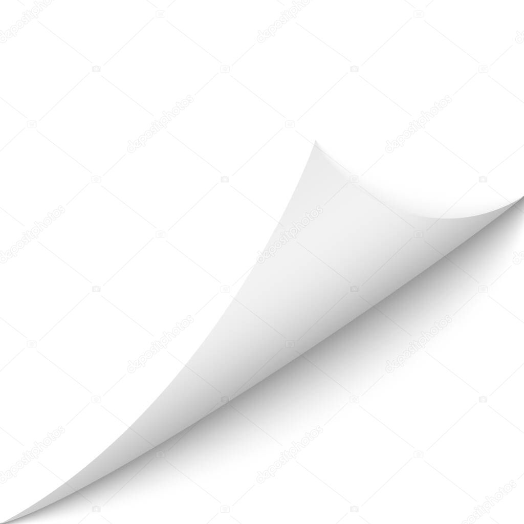 Curled corner of paper page with shadow. Vector illustration