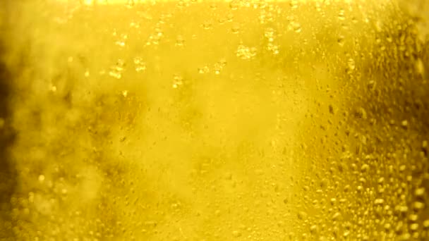Відео для реклами пива. Холодне світло у склянці з краплями води.. — стокове відео