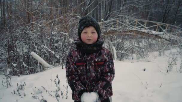 십 대 소년이 겨울 숲에 눈을 던지고 있습니다. 활동적 인 생활, 겨울 활동, 야외 겨울 게임 컨셉 — 비디오