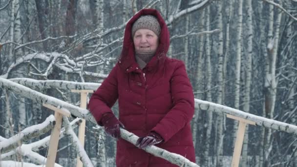 Αργή κίνηση πορτρέτο της ελκυστική ηλικιωμένη κυρία με τα χειμερινά ρούχα στέκεται πόρτες μας στο πάρκο το χειμώνα χαμογελώντας και κοιτάζοντας την κάμερα. 'Ανθρωποι και ψυχαγωγία. — Αρχείο Βίντεο