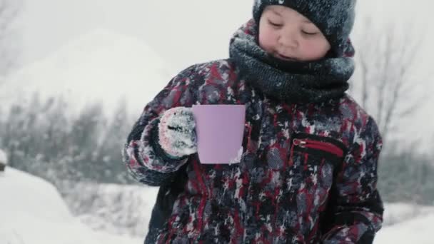 Niño alegre bebiendo té caliente de la taza en el bosque nevado en la caminata de invierno. Niño disfrutando del té de invierno mientras camina en el día frío en el bosque de invierno. Movimiento lento — Vídeo de stock