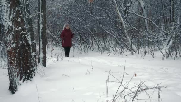 Activa una anciana que se dedica a caminar nórdico con palos en el bosque de invierno. Concepto de estilo de vida saludable. Mujer madura descansando después de hacer ejercicio al aire libre. — Vídeo de stock