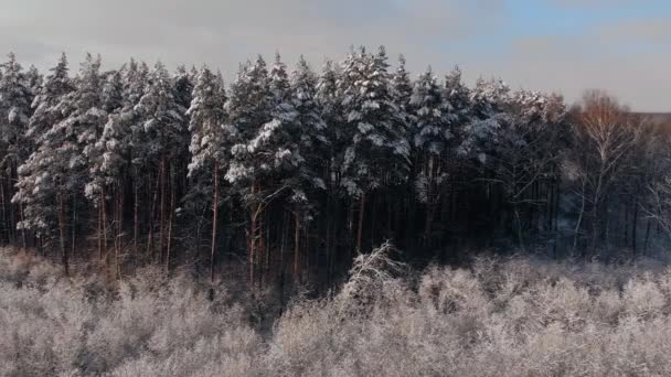 Bardzo piękny zimowy krajobraz w lesie, dużo śniegu leży na drzewach widok wysokości 4K. Latanie nad zimowym zamarzniętym lasem ze śnieżnymi drzewami w zimie. — Wideo stockowe