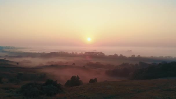 Mgła nad równiną i terenem zalewowym rzeki. Widok z lotu ptaka na wschód słońca nad mglistą doliną. Spokój, relaks, medytacja, samotność, piękno natury — Wideo stockowe