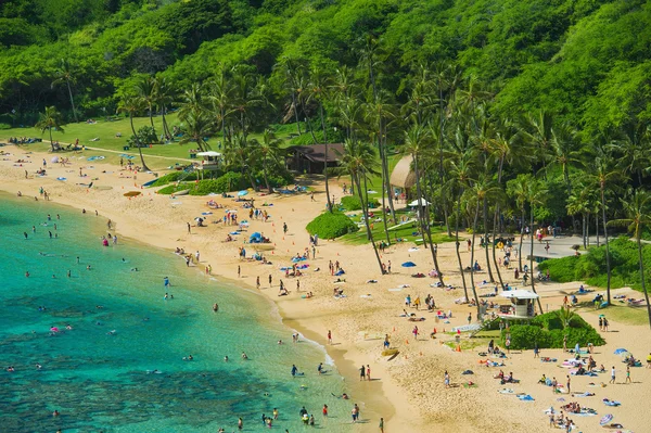 Coral recife snorkeling resort no Havaí — Fotografia de Stock