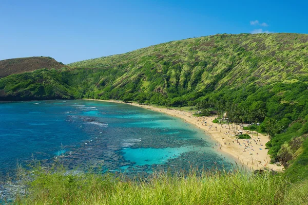 Korálový útes šnorchlování resort na Havaji — Stock fotografie